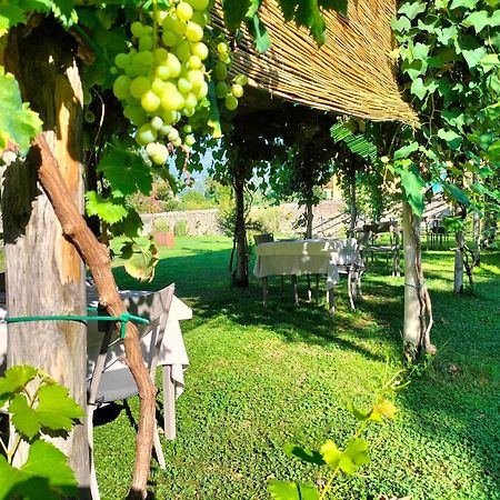 Badia Giulia Prestigious Historical B&B, Camaiore - Adults Only - No Pets Eksteriør bilde