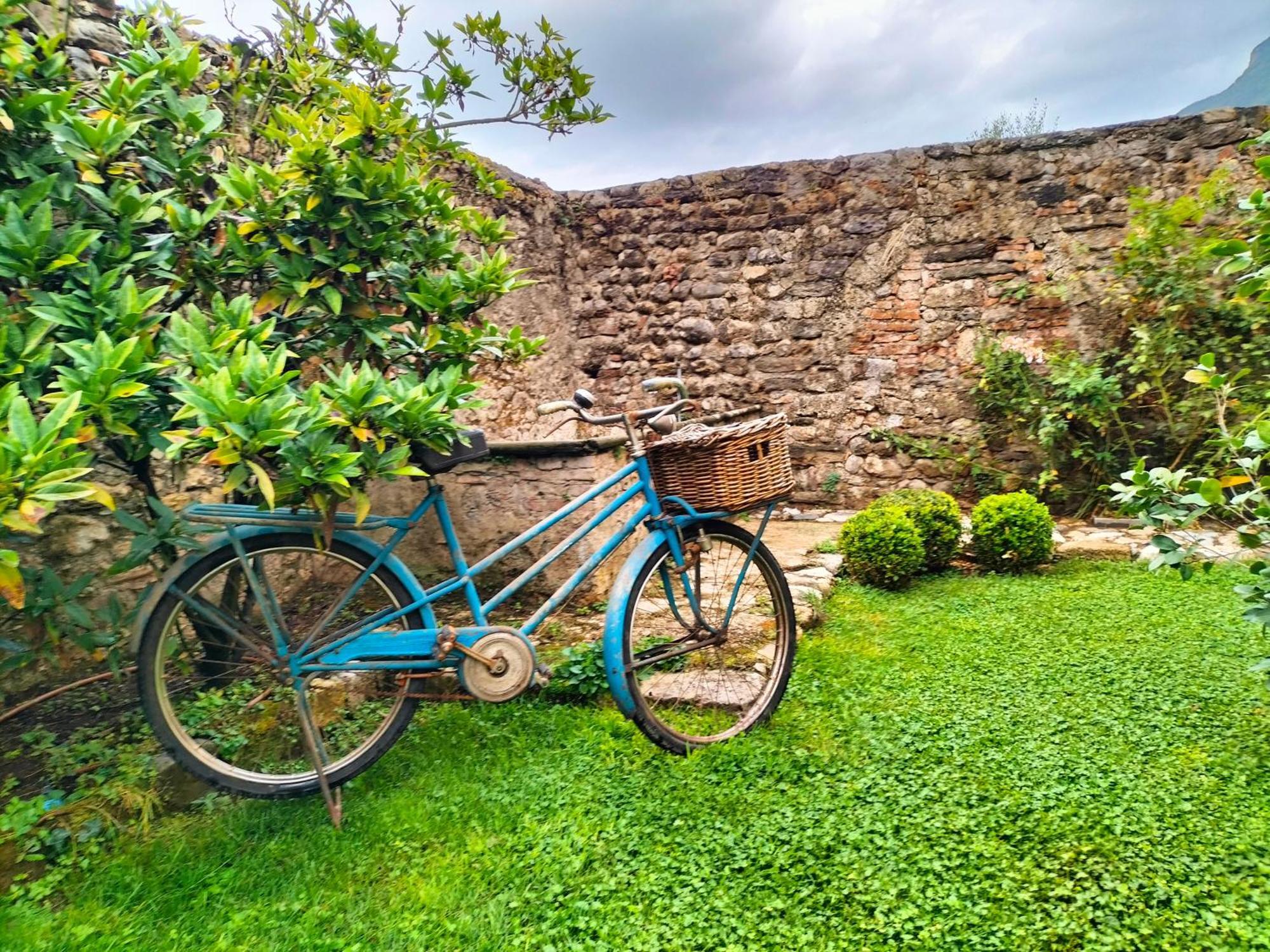 Badia Giulia Prestigious Historical B&B, Camaiore - Adults Only - No Pets Eksteriør bilde